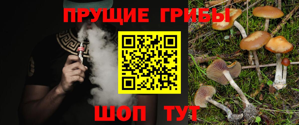 Галлюциногенные грибы Magic Shrooms  Вход с VPN  Узловая 