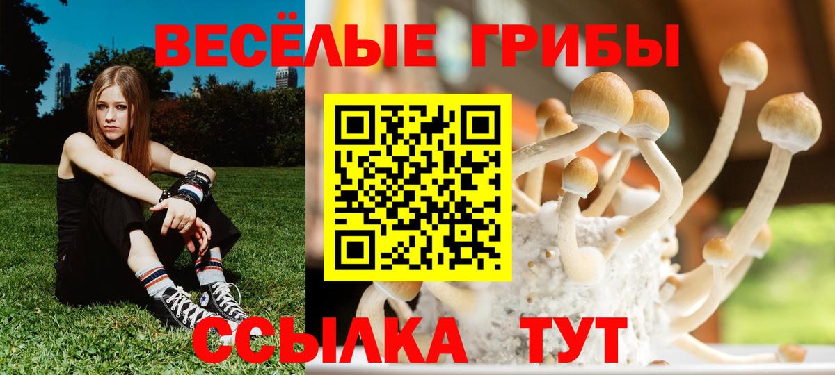 Галлюциногенные грибы MAGIC MUSHROOMS Узловая